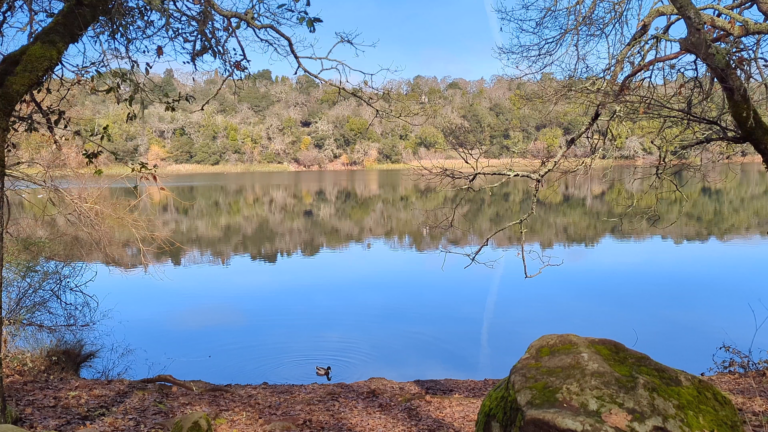 spring lake regional park campground