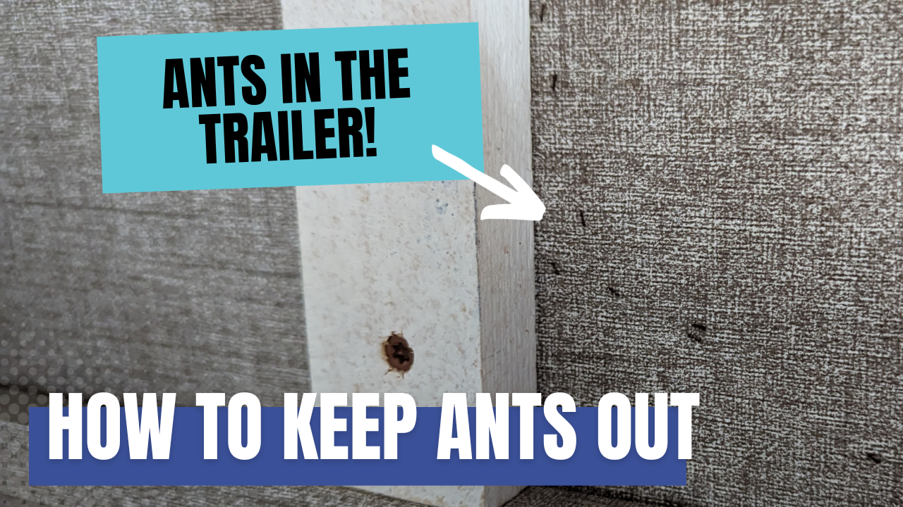 How to Keep Ants Out of the Trailer - Rogina Roaming