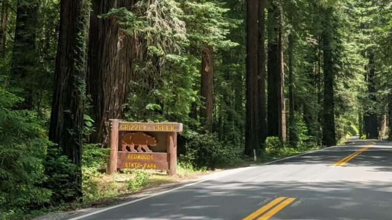 grizzly creek redwoods